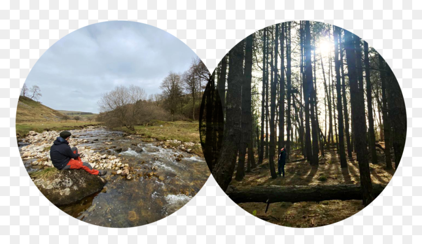 Hamish Anamaria Time To Be In Nature Alone - Reflection, HD Png Download - nature png images
