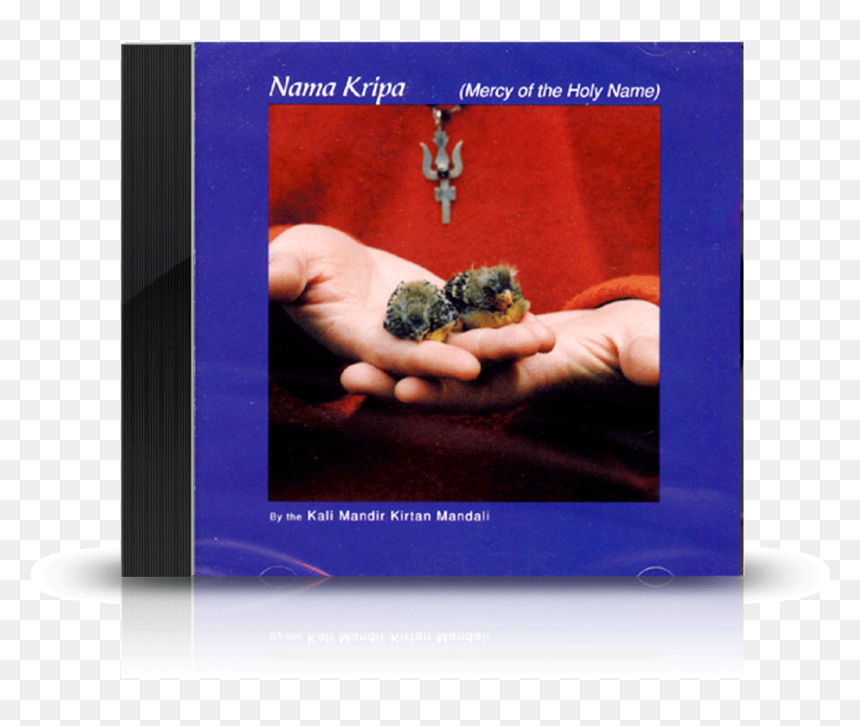 Nama-kripa1 - Poster, HD Png Download - saraswathi devi png