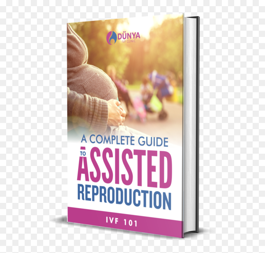 A Free Ebook With A Pregnant Woman Sitting In A Park - Андрей Зорин Жизнь Льва Толстого, HD Png Download - ebook png