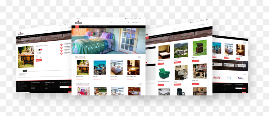 Odoo Kingfisher Theme - Odoo Ecommerce, HD Png Download - kingfisher png