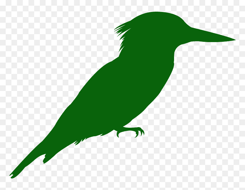 Portable Network Graphics, HD Png Download - kingfisher png
