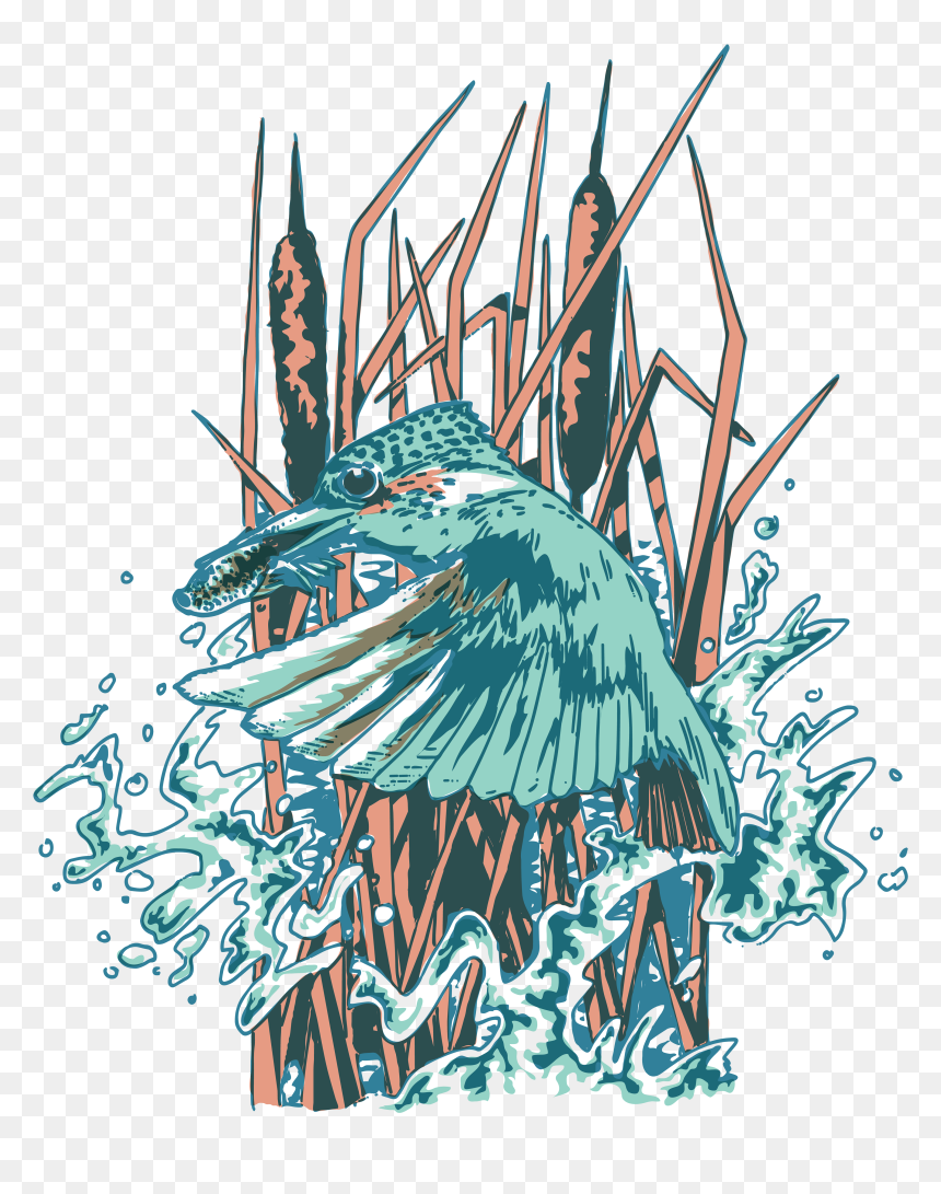Illustration , Png Download - Illustration, Transparent Png - kingfisher png