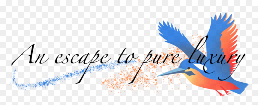 Pure Luxury - Calligraphy, HD Png Download - kingfisher png
