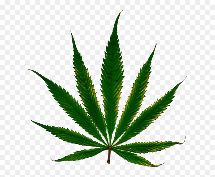 Marihuana Png, Transparent Png - weeds png