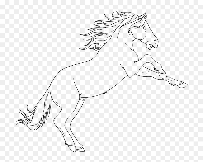 Drawn Horse Mustang Horse - Mustang, HD Png Download - kuda png