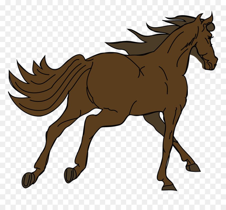 Horse Clipart Quarter Horse - Horse Running Away Drawing, HD Png Download - kuda png