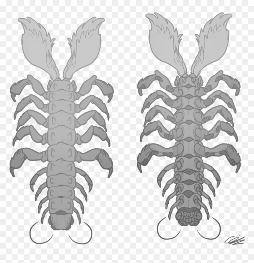 Desert Centipede Top And - American Lobster, HD Png Download - centipede png