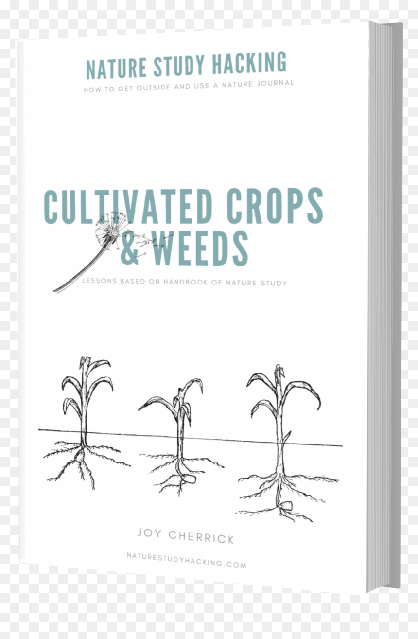 Agi Atlanta, HD Png Download - weeds png