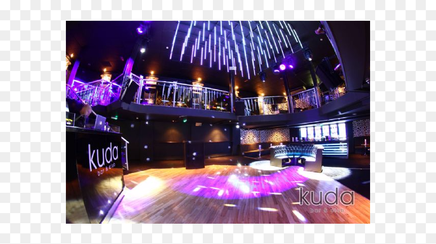 Kuda York, HD Png Download - kuda png
