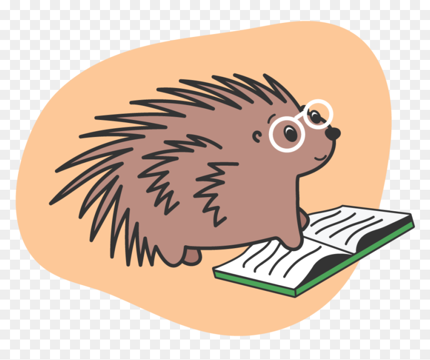 Porcupine-reading - New World Porcupine, HD Png Download - reading png