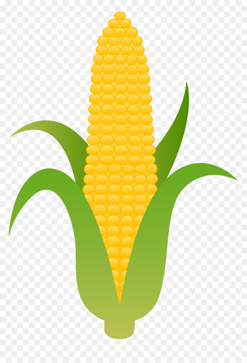 Candy Corn Candyrn Clip Art Rn Vegetable - Corn On The Cob Clipart, HD Png Download - candy corn png