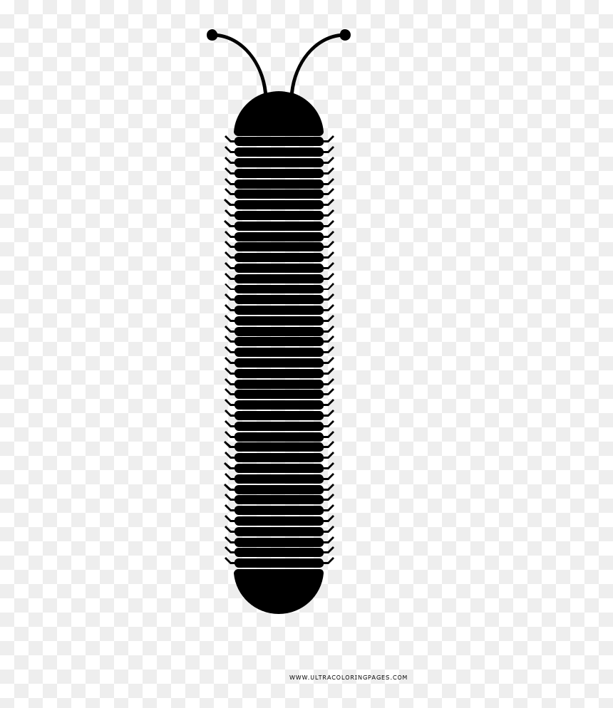 Centipede Coloring Page - Moths And Butterflies, HD Png Download - centipede png