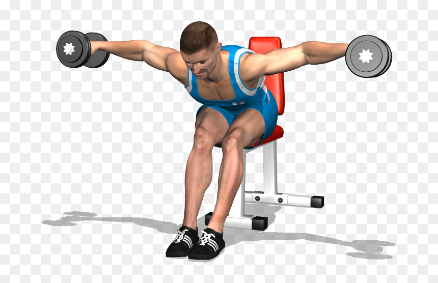 Evolutionfit Seated Dumbells Rear Delt - Alzate 90 Gradi, HD Png Download - dumbell png