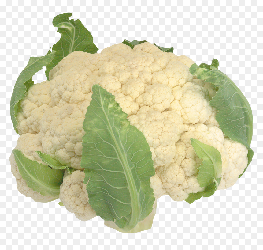 Transparent Cauliflower Clip Art, HD Png Download - shatter png