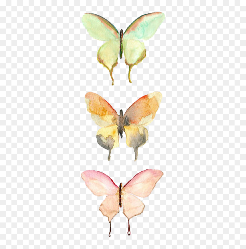 Watercolor Butterflies, HD Png Download - teletubbies sun png