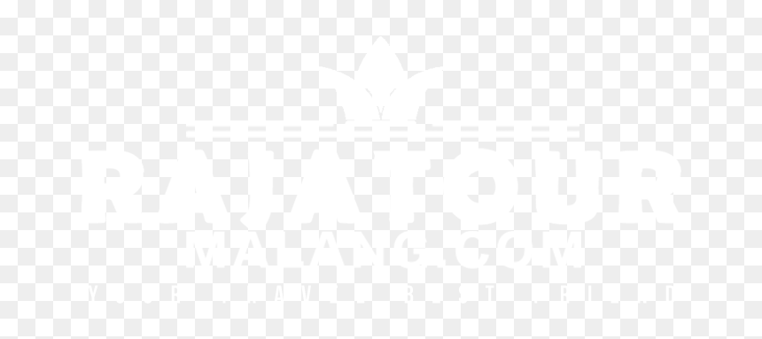 Rajatourmalang - Com - Johns Hopkins Logo White, HD Png Download - teletubbies sun png