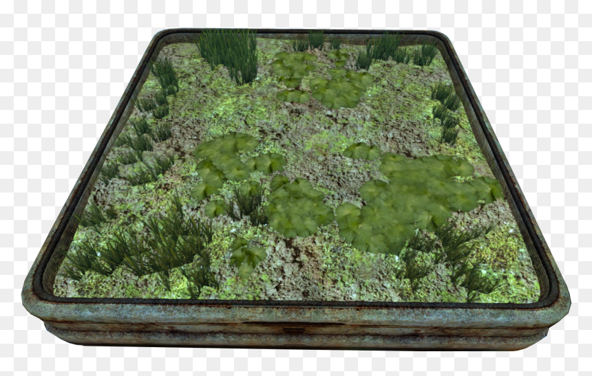 Abandoned Indoor Grobed - Moss, HD Png Download - subnautica png