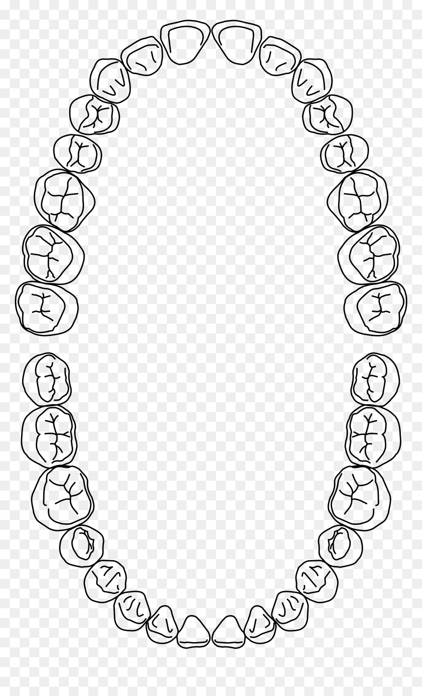 Dental Arch Png, Transparent Png - arch png