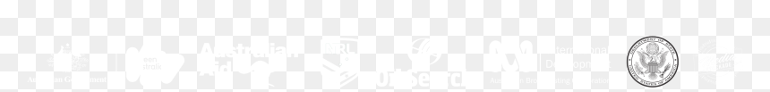 Emblem, HD Png Download - impact png