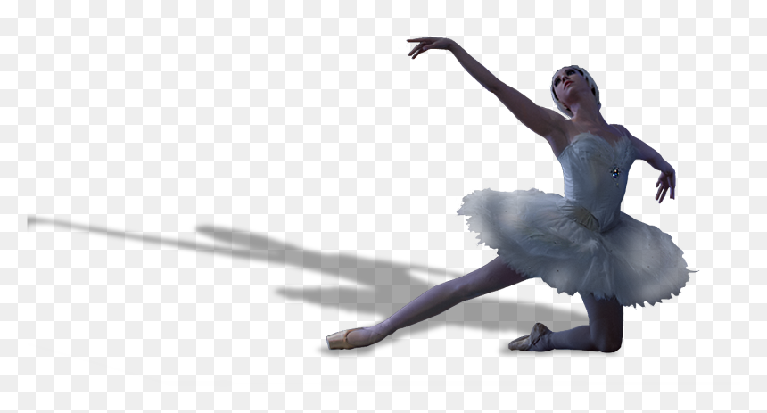 Swan Lake Birmingham Alabama Ballet , Png Download - Birmingham Alabama Ballet Swan Lake, Transparent Png - ballet png