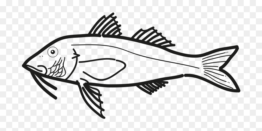 Salmonete Pseudupeneus Prayensis Frioantartic - Ray-finned Fish, HD Png Download - mullet png