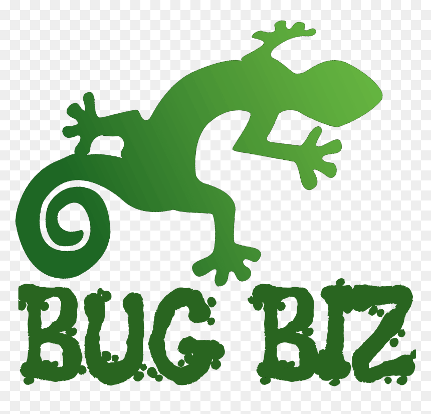 Bug Biz Reptile And Creepy Crawly Parties - Chameleon, HD Png Download - chameleon png