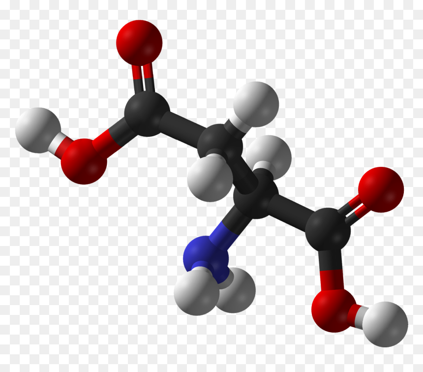 L Aspartic Ac - 3d Structure Of Aspartic Acid, HD Png Download - balls png