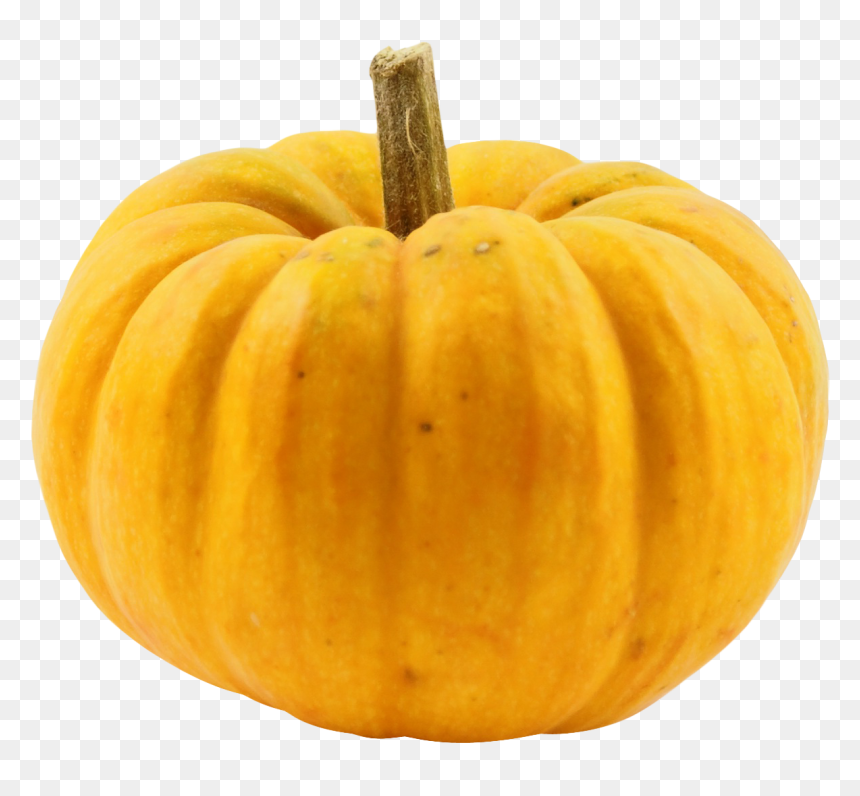 Pumpkin Png Image - Squash Transparent, Png Download - squash png