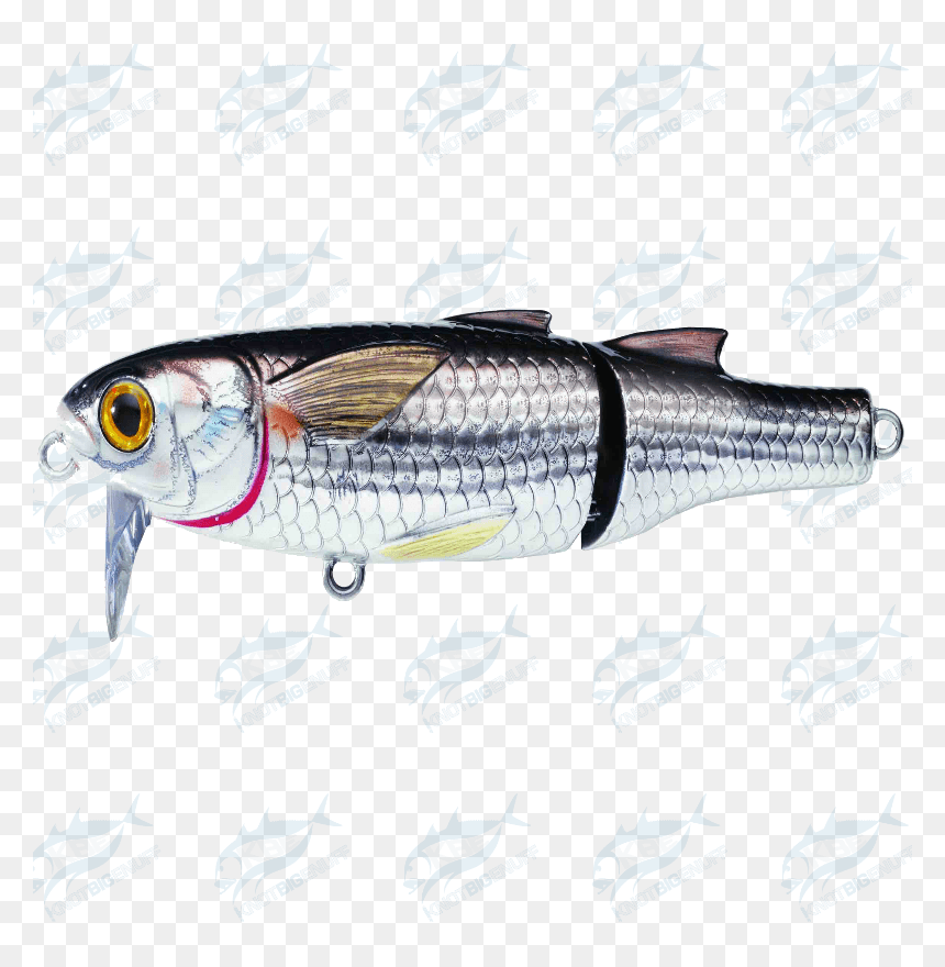 Sauries, HD Png Download - mullet png