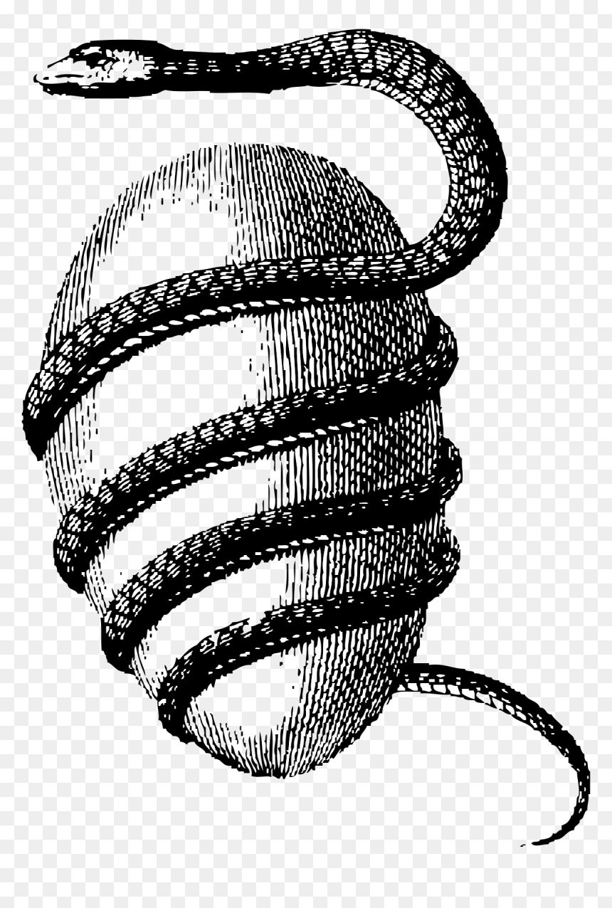 Orphic Egg, HD Png Download - serpent png