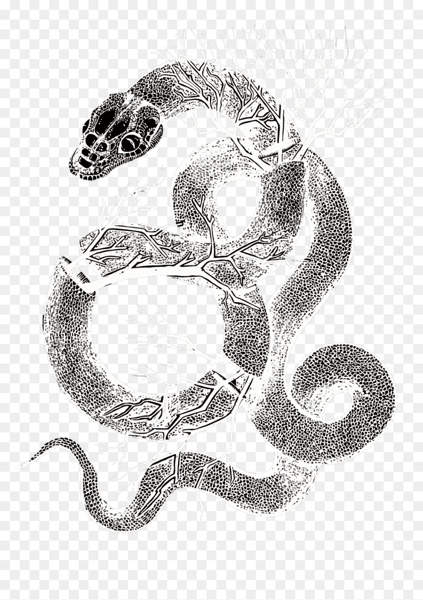 Transparent Serpent Clipart - Visual Arts, HD Png Download - snakes png