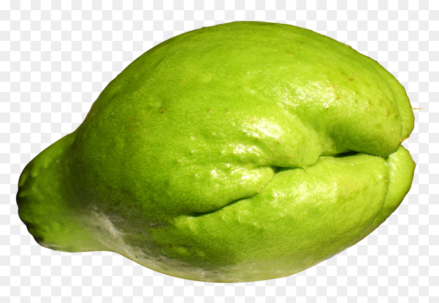 Fresh Chayote - Png Chayote, Transparent Png - squash png