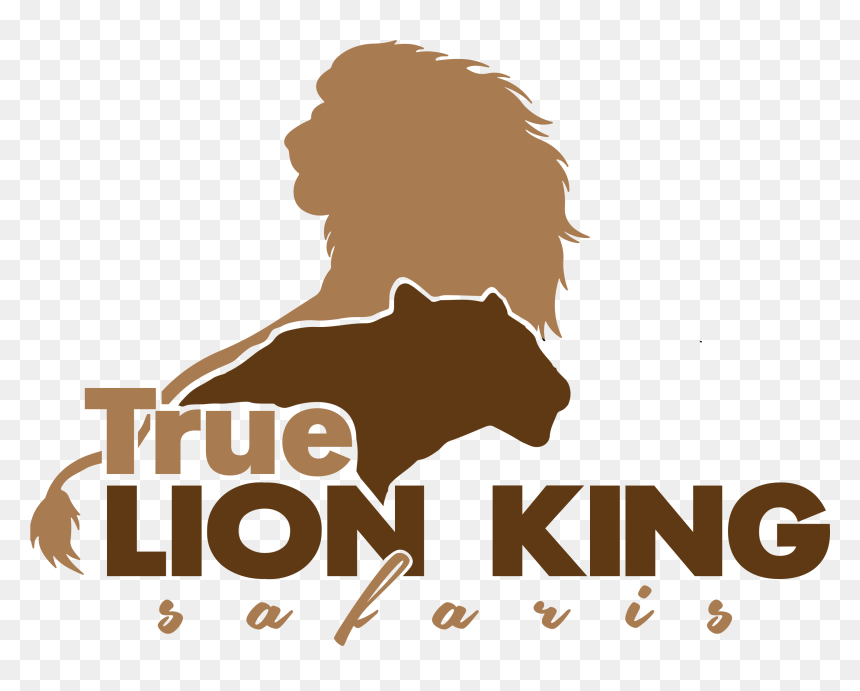 Img - Lion Vector, HD Png Download - safari png