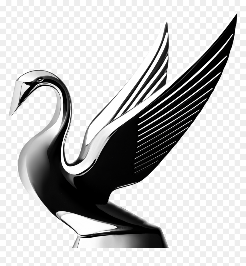 Black Swan, HD Png Download - swan png