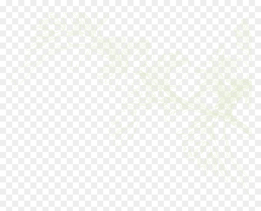 Foxtail Lily , Png Download - Drawing, Transparent Png - lily collins png