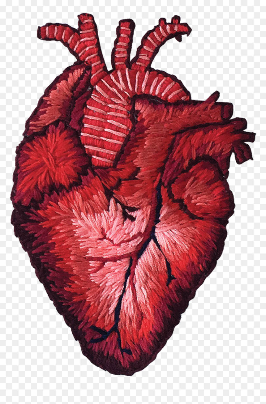 Stitched Heart, HD Png Download - anatomical heart png