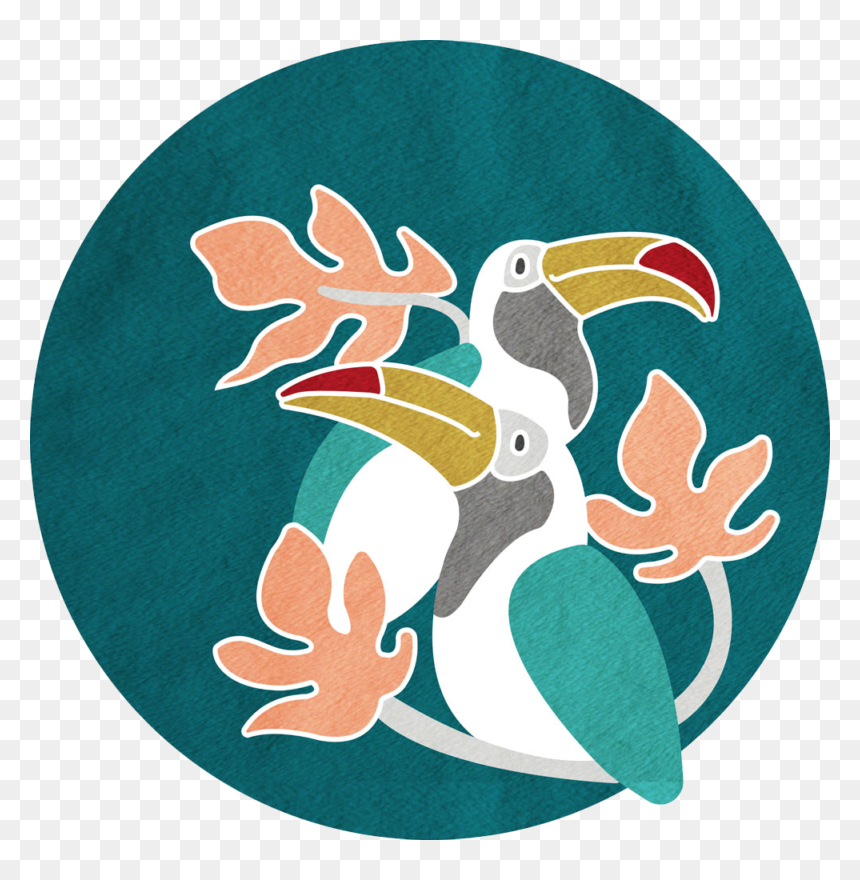 Toucan Png, Transparent Png - toucan png
