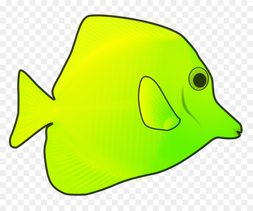 Coral Reef Fish, HD Png Download - ocean fish png