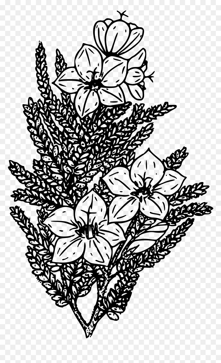 Alpine Skunk Bush Clip Arts - Drawing, HD Png Download - flower bush png