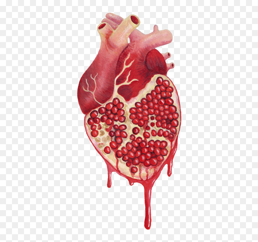 Pomegranate Heart Art, HD Png Download - anatomical heart png