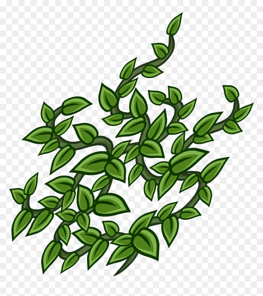 Official Club Penguin Online Wiki - Common Sage, HD Png Download - wall vines png