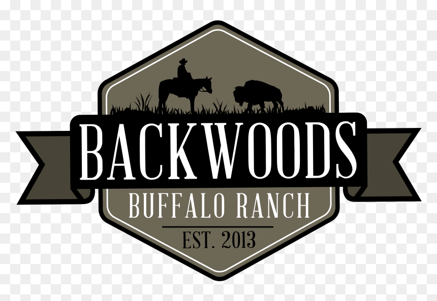 Indian Elephant, HD Png Download - backwoods png