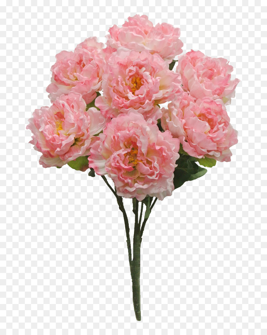 Pink Peony Bush X7 Sale Item - Peony, HD Png Download - peonies png
