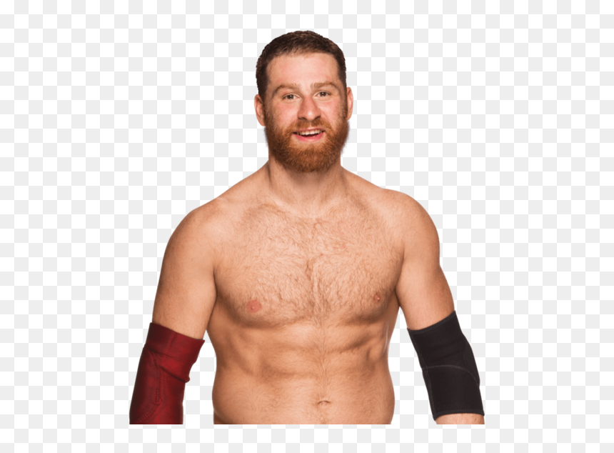 Sami Zayn Smiling - Sami Zayn Png, Transparent Png - sami zayn png