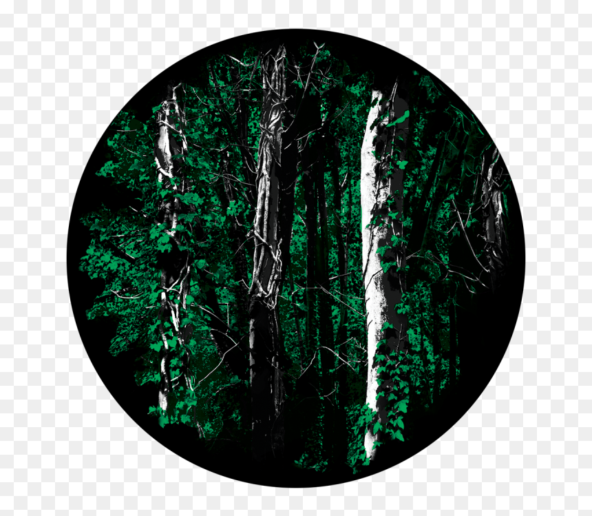Glass, HD Png Download - backwoods png