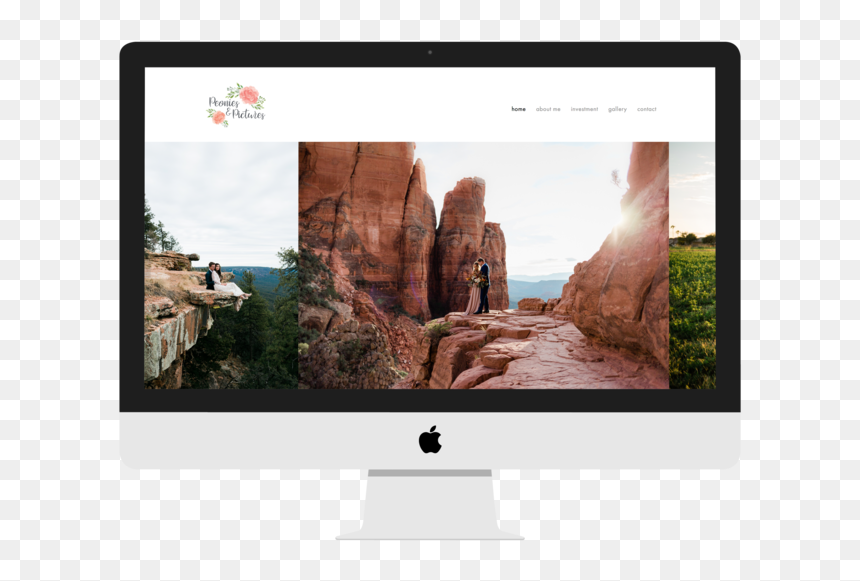Peonies And Pictures Photography Home Page - Led-backlit Lcd Display, HD Png Download - peonies png