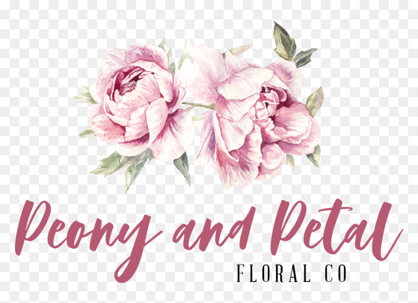 Garden Roses, HD Png Download - peonies png