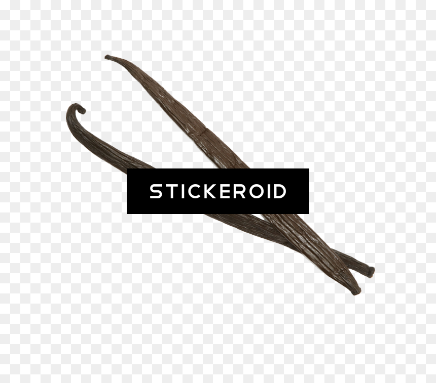 Vanilla Bean , Png Download - Wood, Transparent Png - bean boozled png