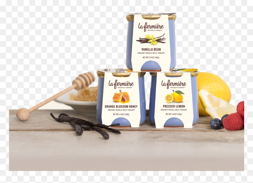 Vanilla Bean Png , Png Download - Lizard, Transparent Png - bean boozled png