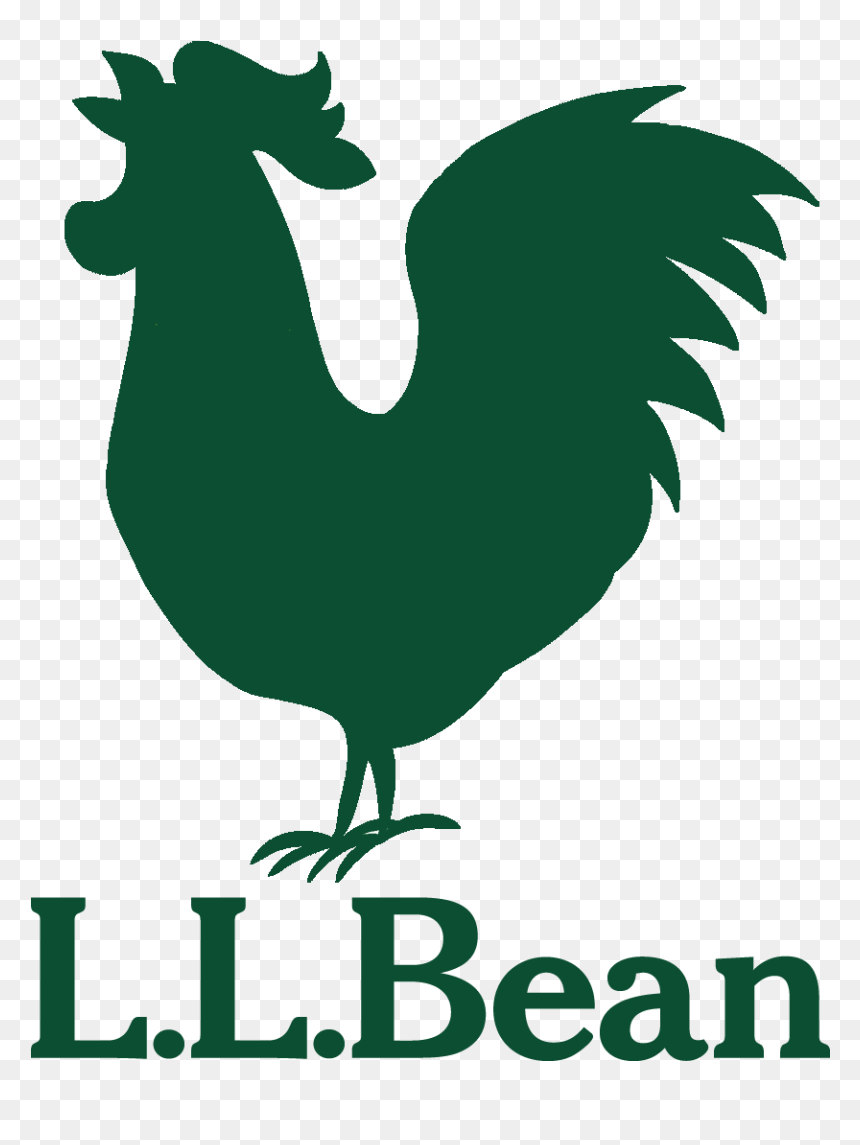 Bean Trail Running Festival At Pineland Farms - Ll Bean Logo Png, Transparent Png - bean boozled png